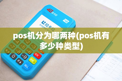 pos机分为哪两种(pos机有多少种类型)