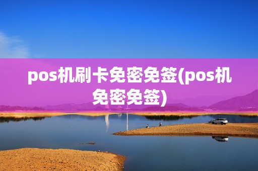 pos机刷卡免密免签(pos机免密免签)