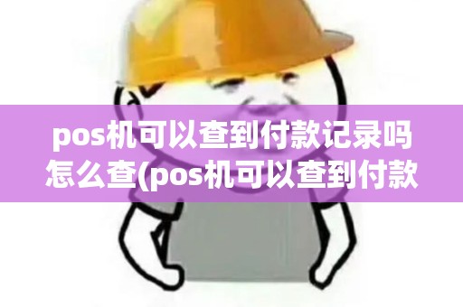pos机可以查到付款记录吗怎么查(pos机可以查到付款记录吗)