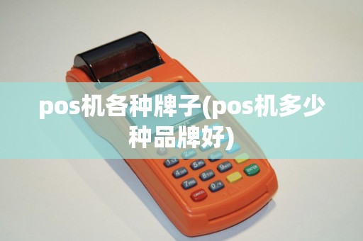 pos机各种牌子(pos机多少种品牌好)
