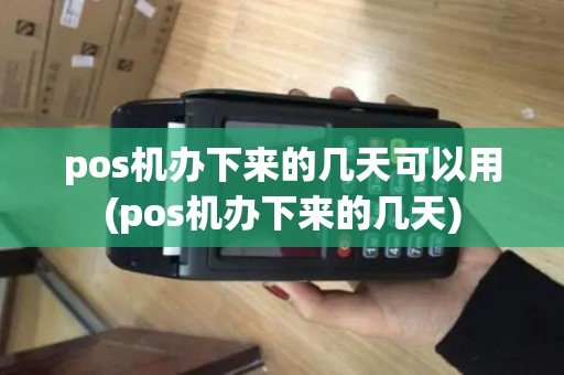 pos机办下来的几天可以用(pos机办下来的几天)