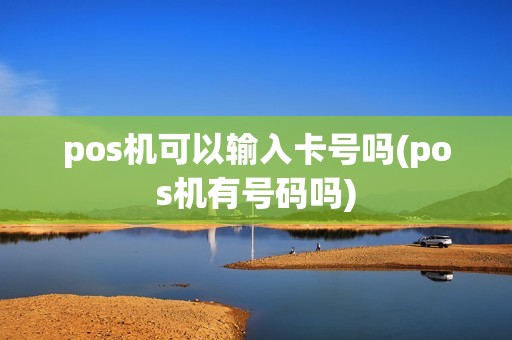 pos机可以输入卡号吗(pos机有号码吗)