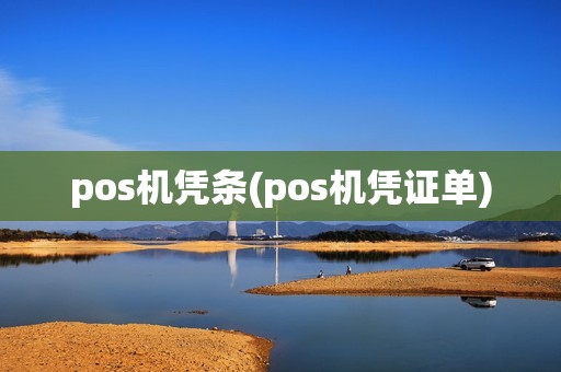 pos机凭条(pos机凭证单)