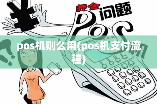 pos机则么用(pos机支付流程)