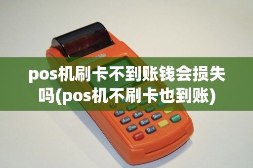 pos机刷卡不到账钱会损失吗(pos机不刷卡也到账)