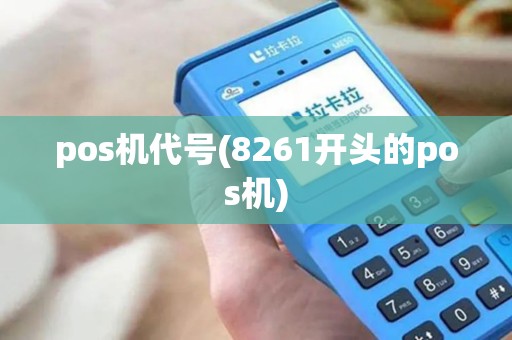 pos机代号(8261开头的pos机)