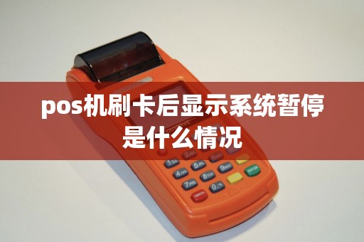 pos机刷卡后显示系统暂停是什么情况