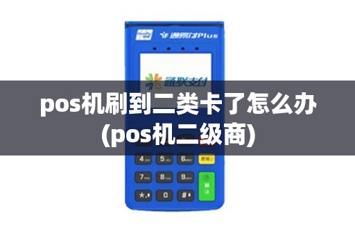 pos机刷到二类卡了怎么办(pos机二级商)