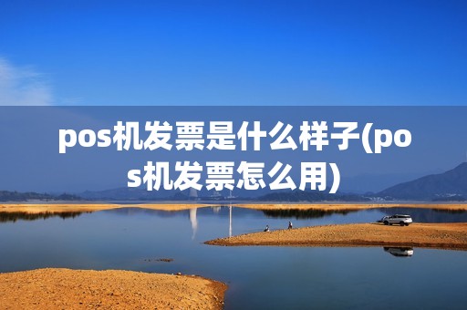 pos机发票是什么样子(pos机发票怎么用)
