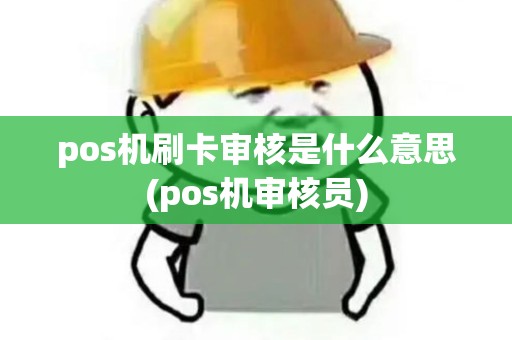 pos机刷卡审核是什么意思(pos机审核员)