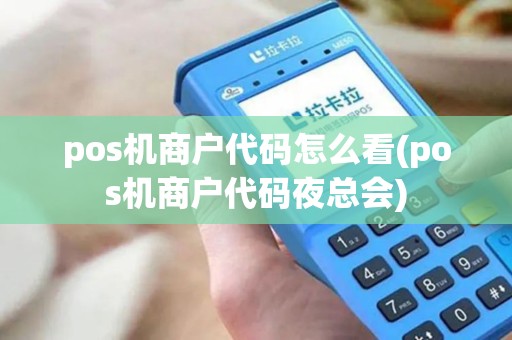 pos机商户代码怎么看(pos机商户代码夜总会)
