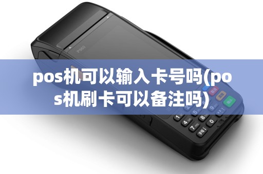 pos机可以输入卡号吗(pos机刷卡可以备注吗)