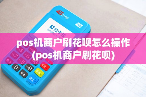 pos机商户刷花呗怎么操作(pos机商户刷花呗)