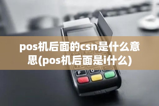 pos机后面的csn是什么意思(pos机后面是i什么)
