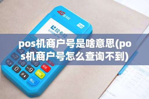 pos机商户号是啥意思(pos机商户号怎么查询不到)