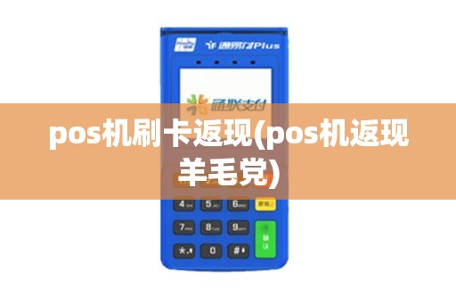 pos机刷卡返现(pos机返现羊毛党)
