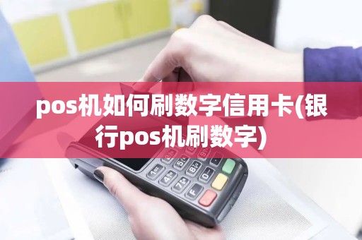pos机如何刷数字信用卡(银行pos机刷数字)