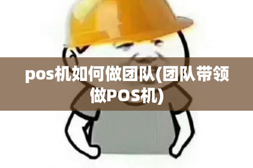 pos机如何做团队(团队带领做POS机)