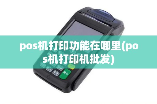 pos机打印功能在哪里(pos机打印机批发)