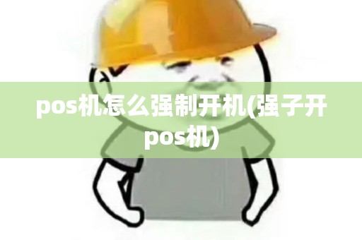 pos机怎么强制开机(强子开pos机)