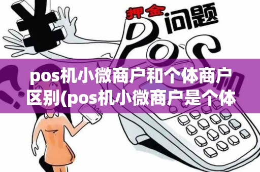 pos机小微商户和个体商户区别(pos机小微商户是个体)