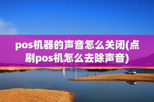 pos机器的声音怎么关闭(点刷pos机怎么去除声音)