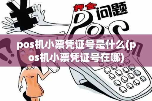 pos机小票凭证号是什么(pos机小票凭证号在哪)