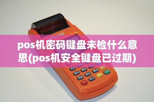 pos机密码键盘未检什么意思(pos机安全键盘已过期)