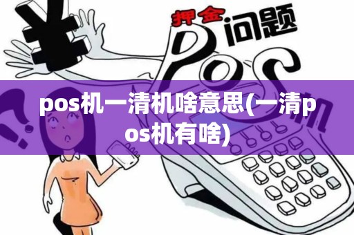 pos机一清机啥意思(一清pos机有啥)