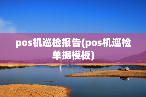 pos机巡检报告(pos机巡检单据模板)