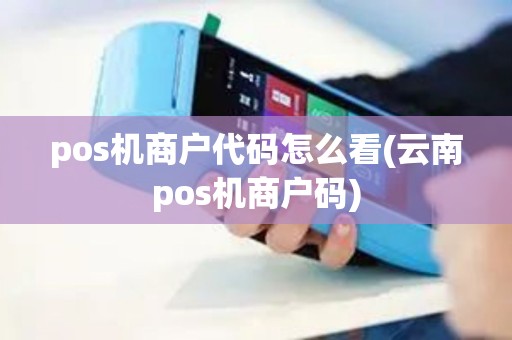 pos机商户代码怎么看(云南pos机商户码)