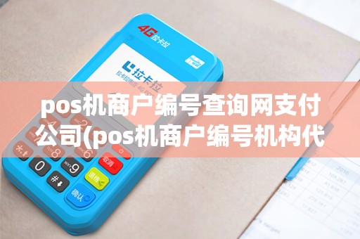 pos机商户编号查询网支付公司(pos机商户编号机构代码)