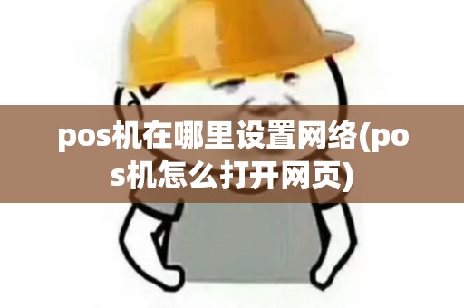 pos机在哪里设置网络(pos机怎么打开网页)