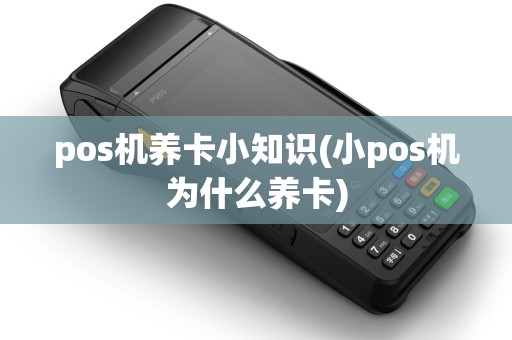 pos机养卡小知识(小pos机为什么养卡)