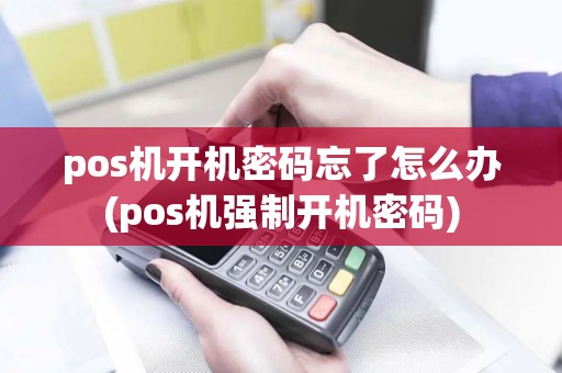 pos机开机密码忘了怎么办(pos机强制开机密码)