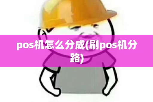 pos机怎么分成(刷pos机分路)