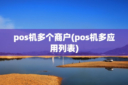 pos机多个商户(pos机多应用列表)