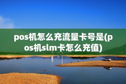 pos机怎么充流量卡号是(pos机slm卡怎么充值)