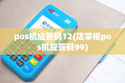 pos机应答码12(店掌柜pos机应答码99)