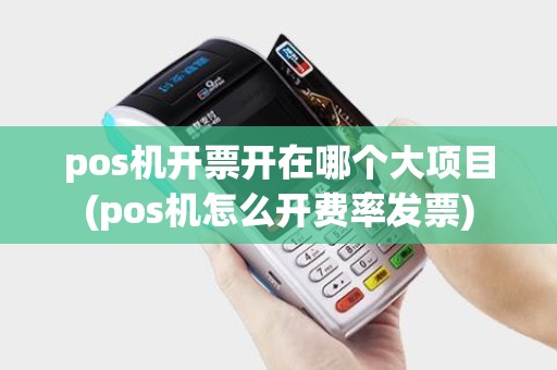 pos机开票开在哪个大项目(pos机怎么开费率发票)