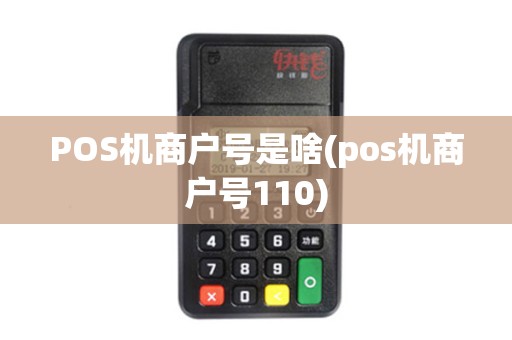 POS机商户号是啥(pos机商户号110)