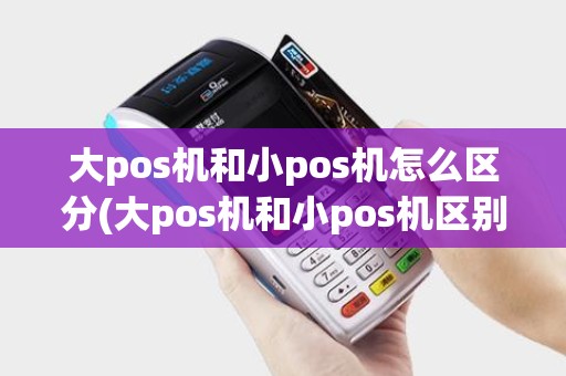 大pos机和小pos机怎么区分(大pos机和小pos机区别,看完秒懂)