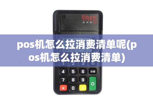 pos机怎么拉消费清单呢(pos机怎么拉消费清单)