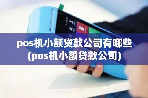 pos机小额贷款公司有哪些(pos机小额贷款公司)