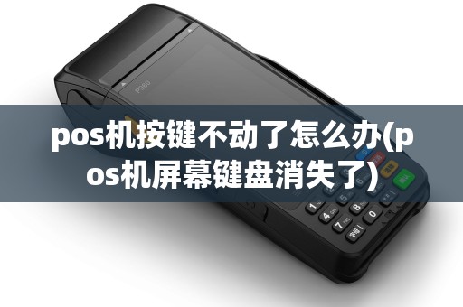 pos机按键不动了怎么办(pos机屏幕键盘消失了)