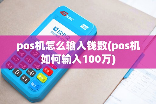 pos机怎么输入钱数(pos机如何输入100万)