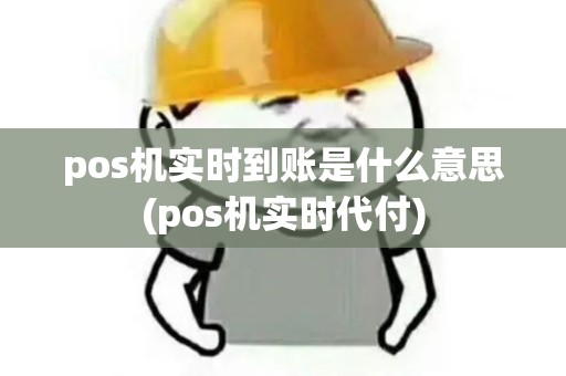 pos机实时到账是什么意思(pos机实时代付)