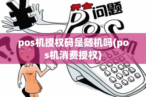 pos机授权码是随机吗(pos机消费授权)