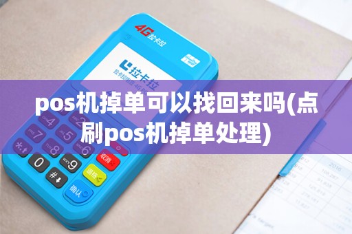 pos机掉单可以找回来吗(点刷pos机掉单处理)