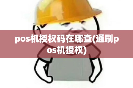 pos机授权码在哪查(通刷pos机授权)